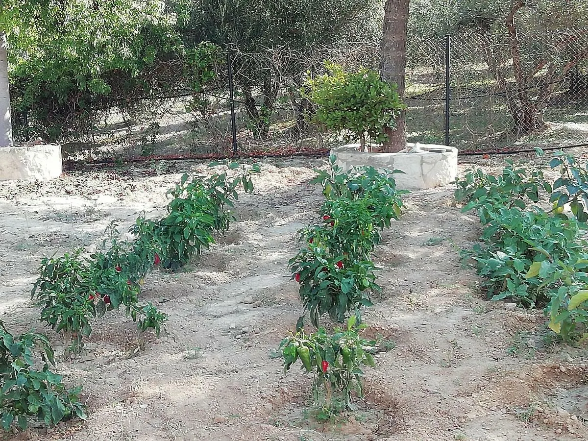 Eden Garden Villa Near Knossos Skalanion Country house